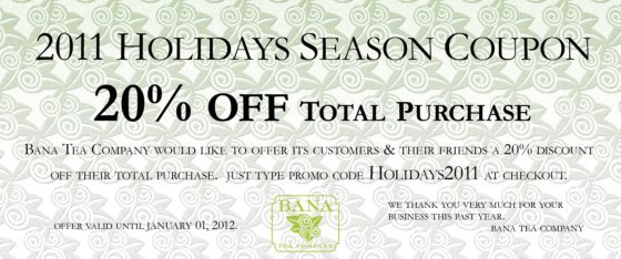 coupon HOLIDAYS 2011 flat coupon HOLIDAYS 2011 flat